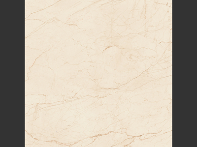 駱駝磁磚、駱駝磁磚品牌